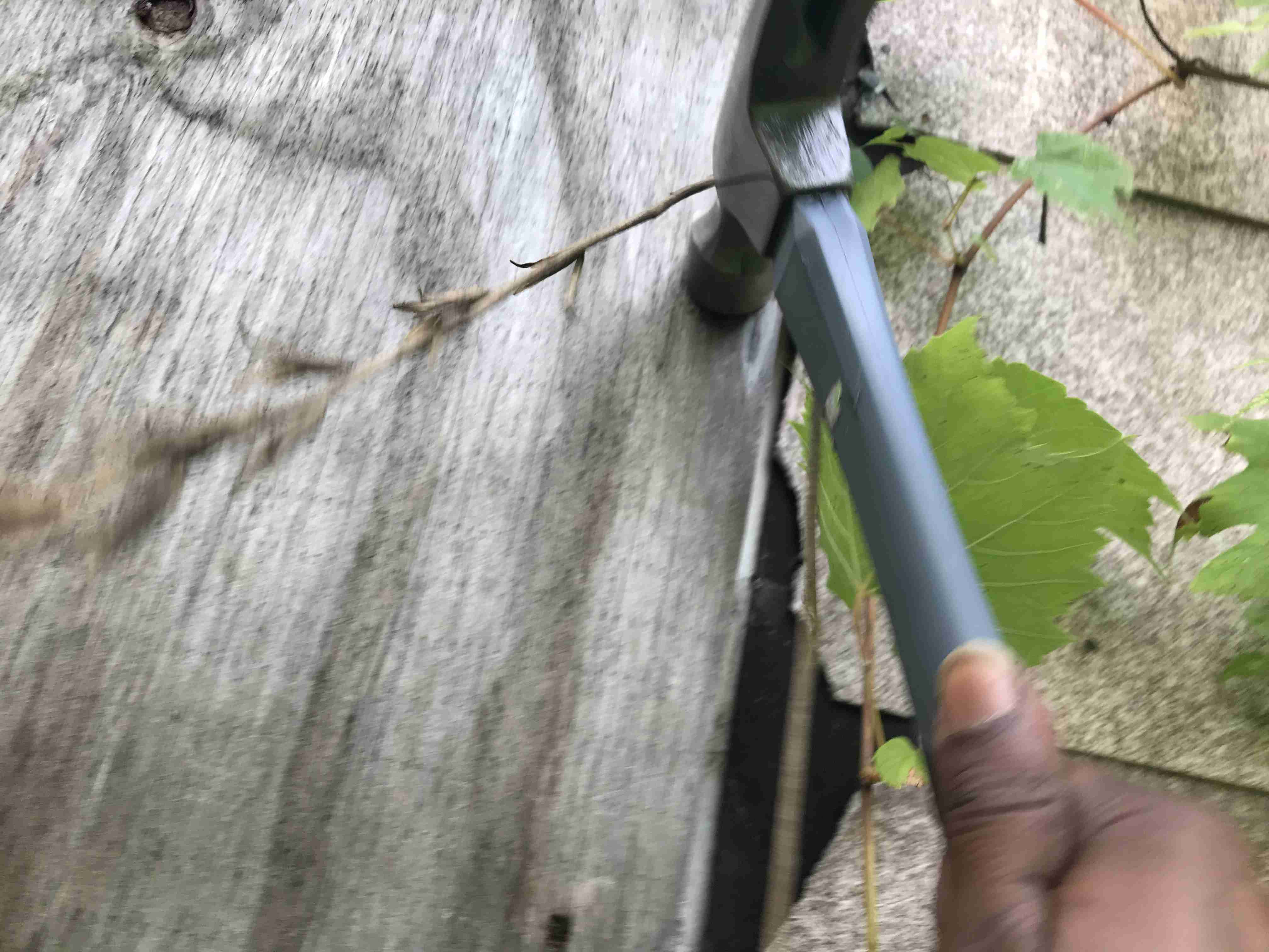 Photo Sep 09, 5 56 16 PM.jpg